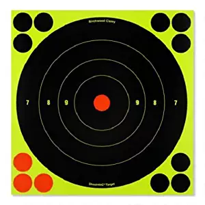 SHOOT-N-C 8" Bull's-Eye Target - 30 Targets