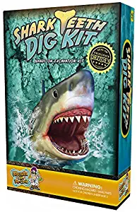 Discover with Dr. Cool Shark Tooth Dig Kit - Excavate 3 Real Shark Teeth Specimens!