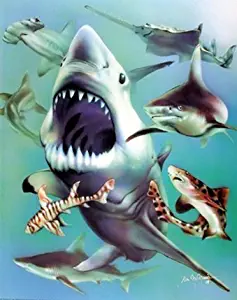 White Sharks Collage Ocean Animal Kids Room Wall Decor Art Print Poster (16x20)
