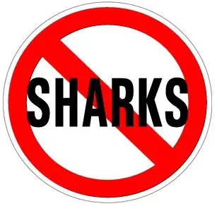 Graphics and More No Sharks - Window Bumper Sticker