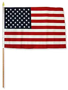 Flags Importer USA Dozen 12x18” Stick Flags, Sleeve, Multi