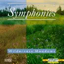 Nature's Symphonies: Wilderness Meadows