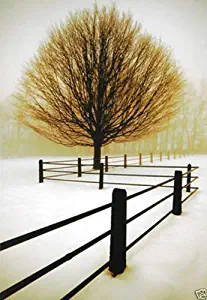 Solitude David Lorenz Winston Photograph Farm Tree Fence Nature Poster, Overall Size: 11x14, Image Size: 7x10.25