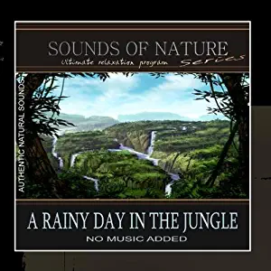 A Rainy Day In The Jungle (Sounds of Nature)