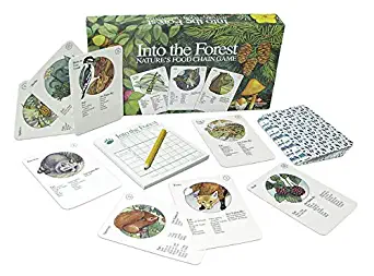 Ampersand Press Into the Forest, Nature's Food Chain Game
